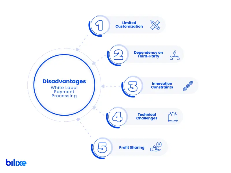 Infographic illustrating key drawbacks and risks of white label payment processing solutions